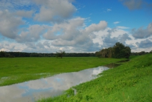 Nepovolané vjazdy do CHKO Záhorie